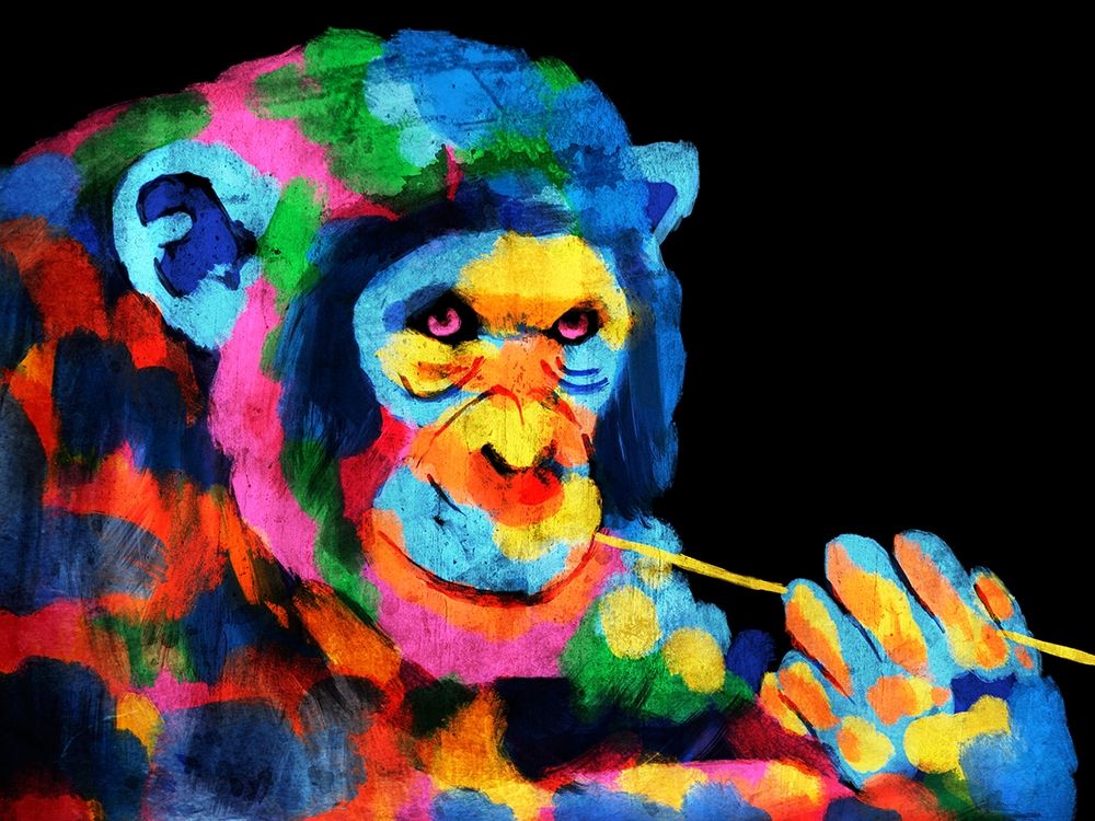 Monkey Color Burst 1 art print by Marcus Prime for $57.95 CAD