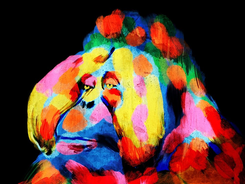 Monkey Color Burst 2 art print by Marcus Prime for $57.95 CAD