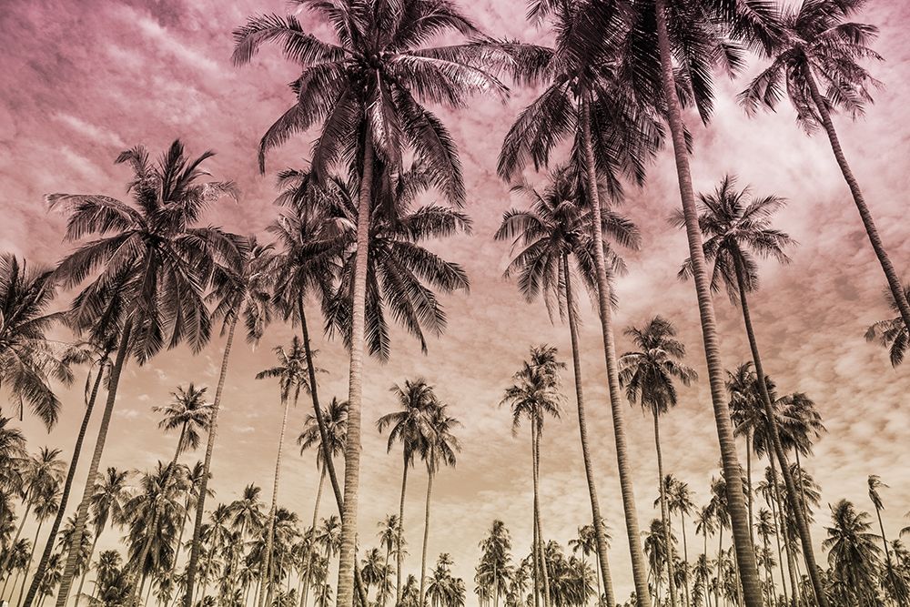 Desired Destinations 1 art print by Marcus Prime for $57.95 CAD