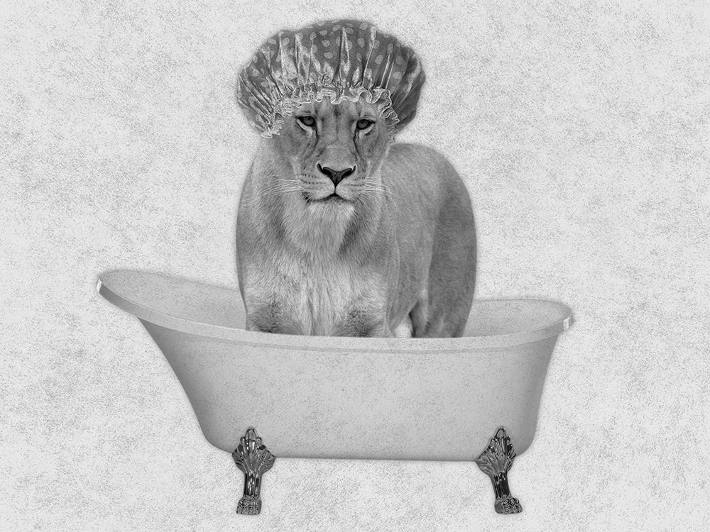 Bathing Lioness 2 art print by Marcus Prime for $57.95 CAD