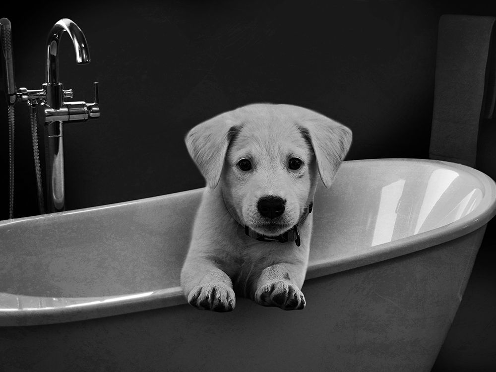 Bathroom Friend 1 art print by Marcus Prime for $57.95 CAD