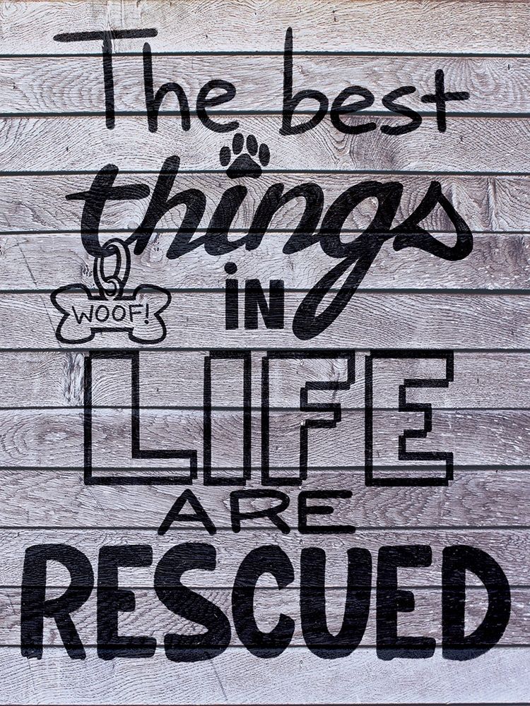 Rescued Love 1 art print by Marcus Prime for $57.95 CAD