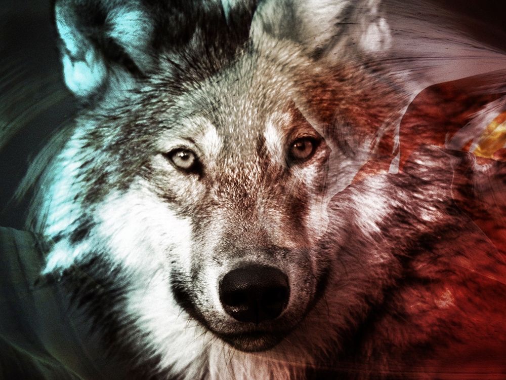 Spirit Animal 1 art print by Marcus Prime for $57.95 CAD