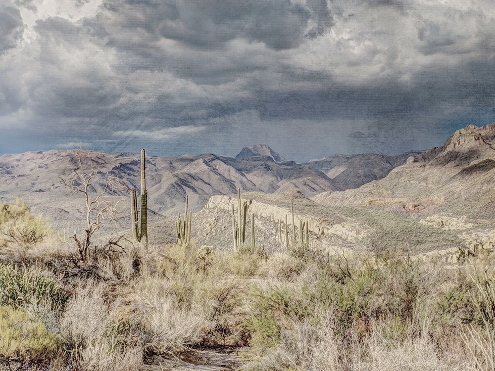 Desert Oasis art print by Marcus Prime for $57.95 CAD