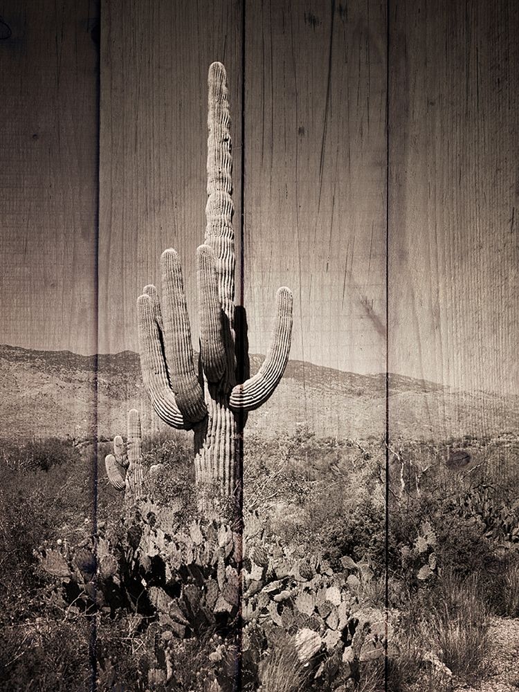 Western Vibes art print by Marcus Prime for $57.95 CAD