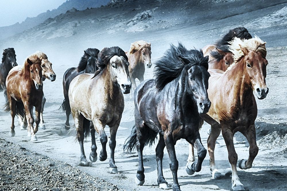 Group Run art print by Marcus Prime for $57.95 CAD
