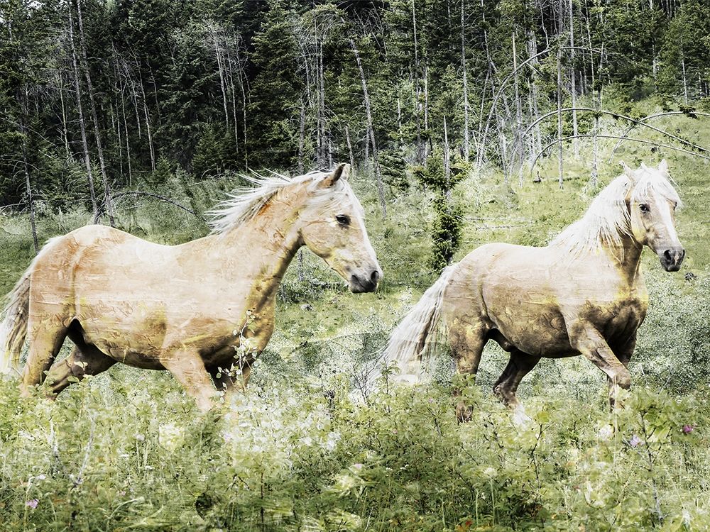 Free Spirits 2 art print by Marcus Prime for $57.95 CAD