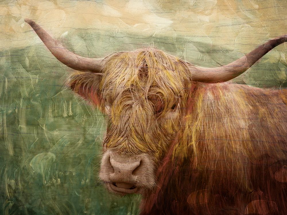 Hairy Bull art print by Marcus Prime for $57.95 CAD