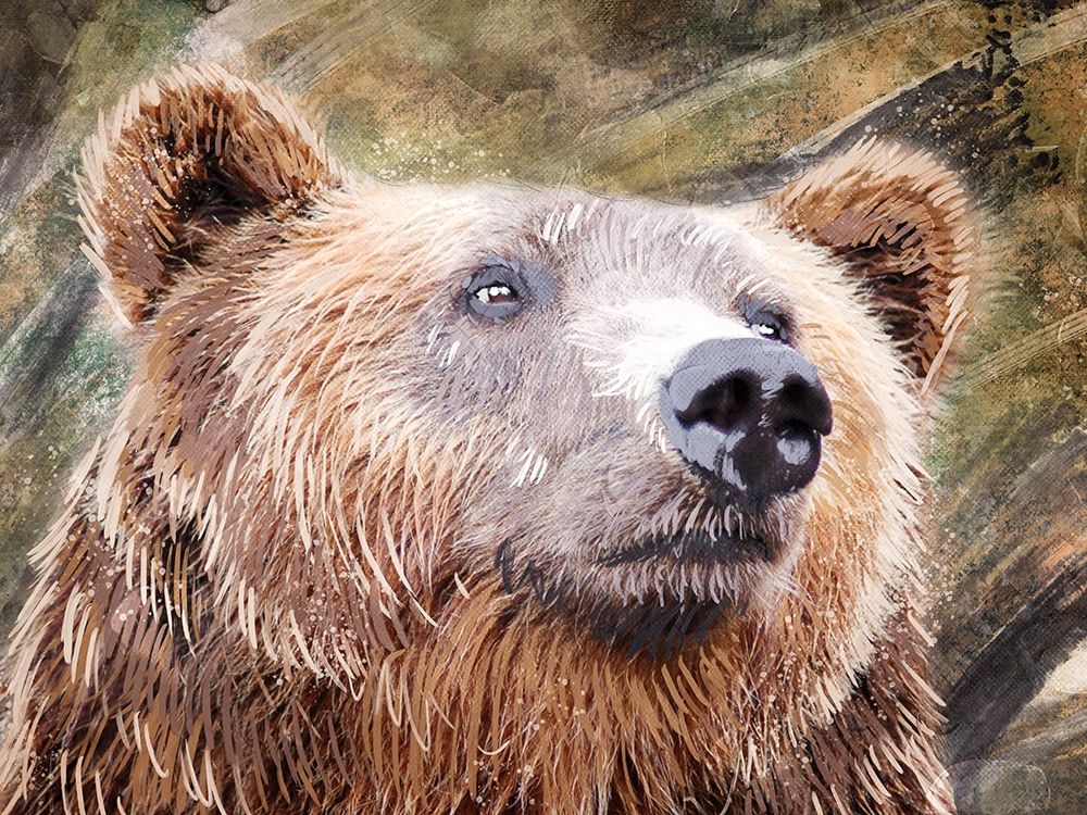 Urban Bear 1 art print by Marcus Prime for $57.95 CAD
