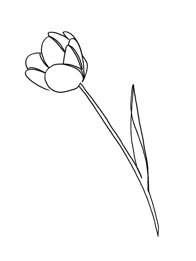 Paper Tulip 1 art print by Marcus Prime for $57.95 CAD