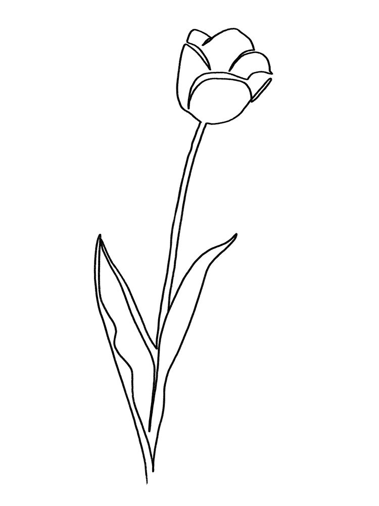 Paper Tulip 2 art print by Marcus Prime for $57.95 CAD