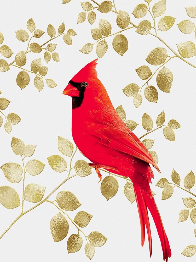 Cheerful Cardinal 1 art print by Marcus Prime for $57.95 CAD