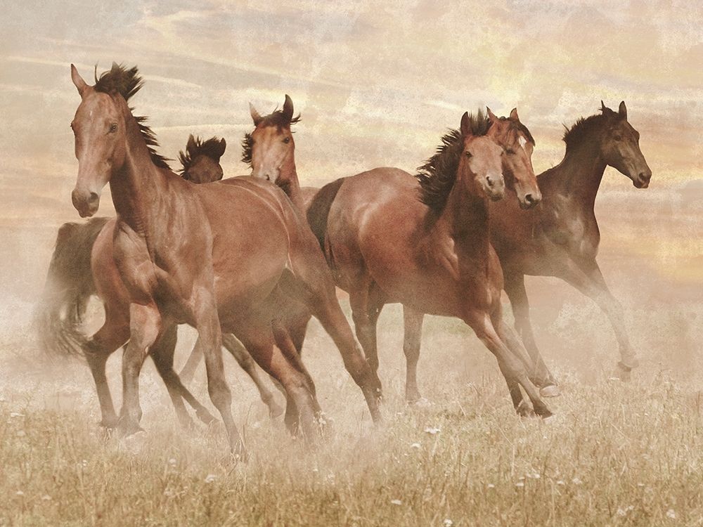 Running Free 1 art print by Marcus Prime for $57.95 CAD
