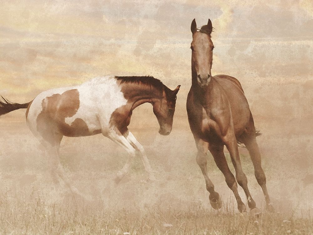Running Free 2 art print by Marcus Prime for $57.95 CAD