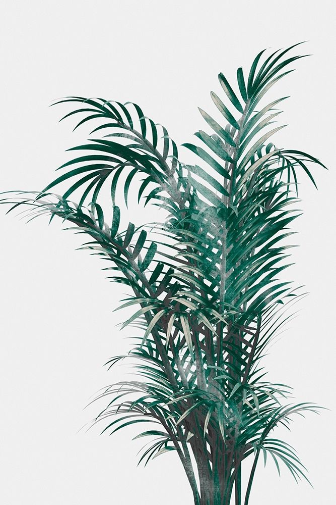 Windy Fern art print by Marcus Prime for $57.95 CAD