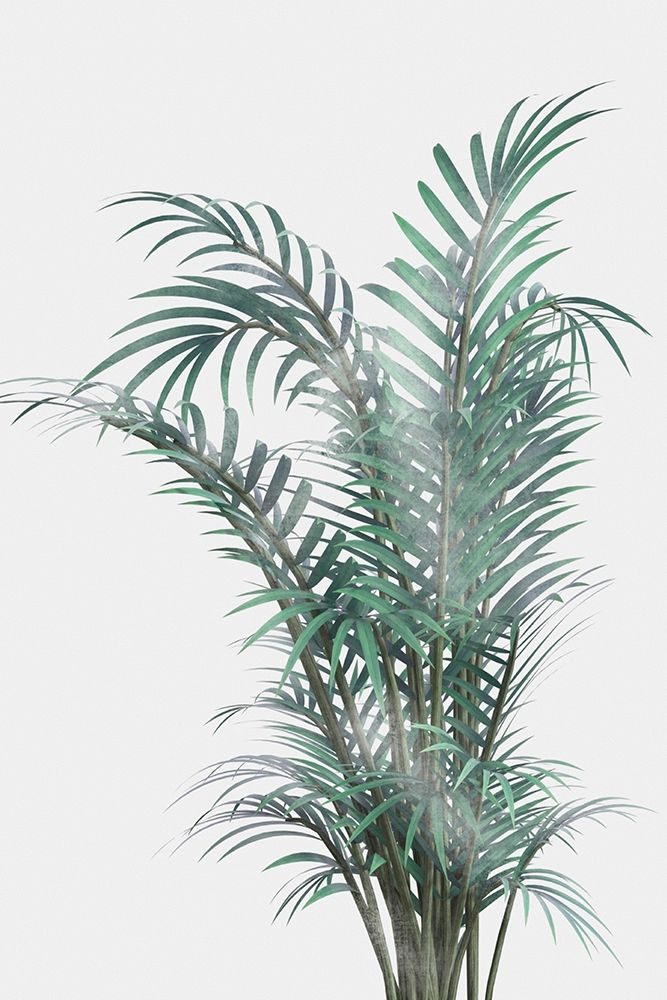 Misty Fern art print by Marcus Prime for $57.95 CAD