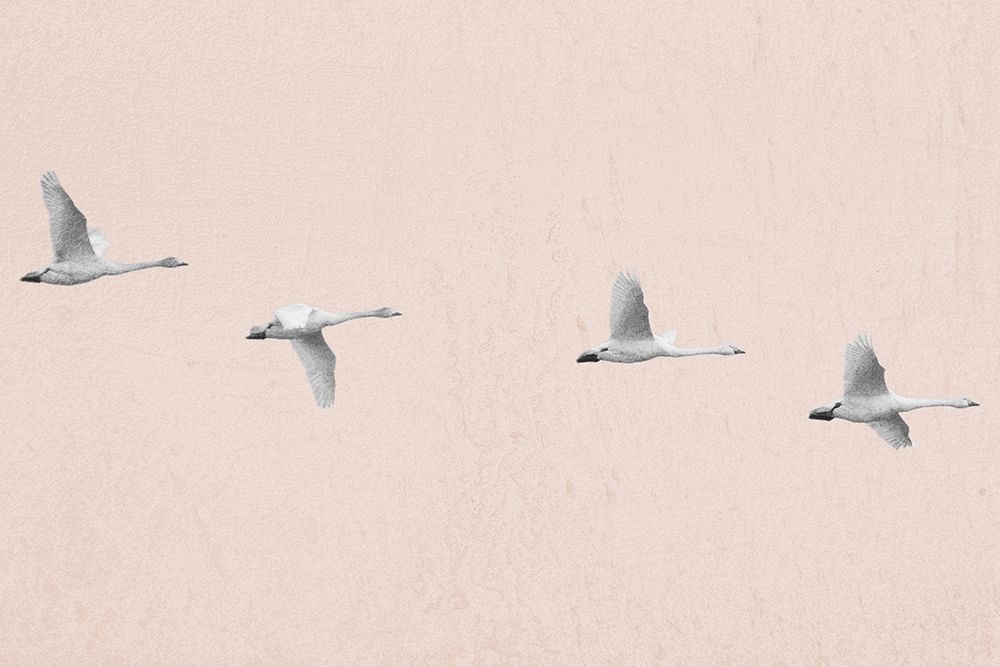 Follow The Leader art print by Marcus Prime for $57.95 CAD