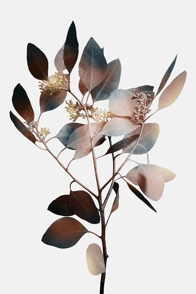 Autumn Eucalyptus 1 art print by Marcus Prime for $57.95 CAD