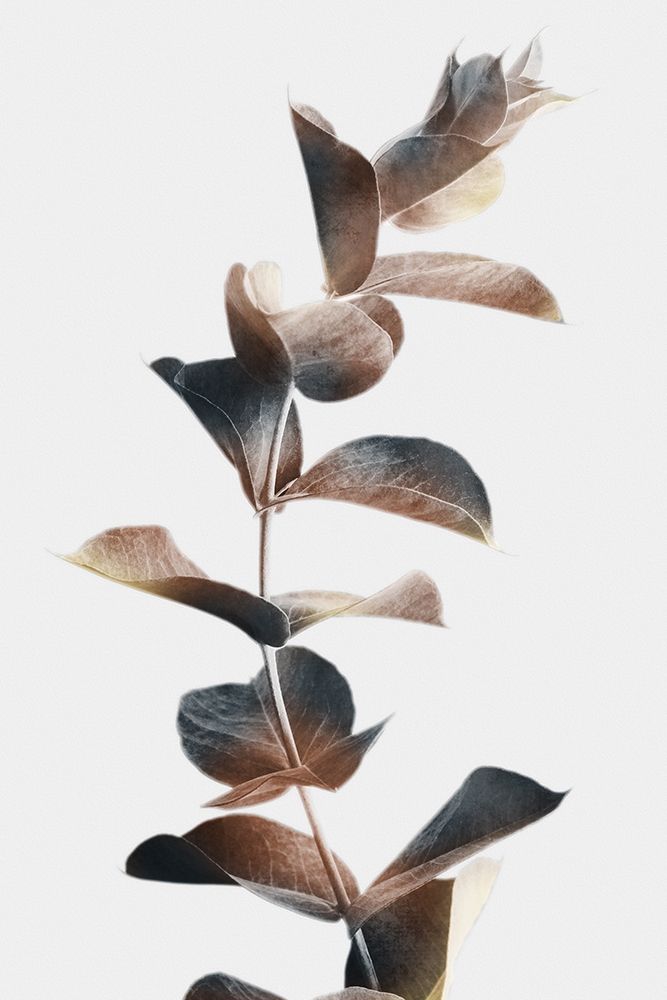 Autumn Eucalyptus 2 art print by Marcus Prime for $57.95 CAD