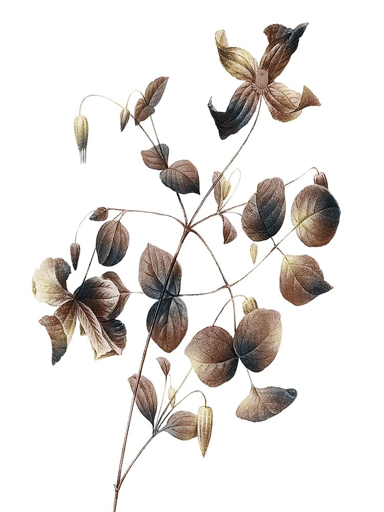 Autumn Balance 2 art print by Marcus Prime for $57.95 CAD
