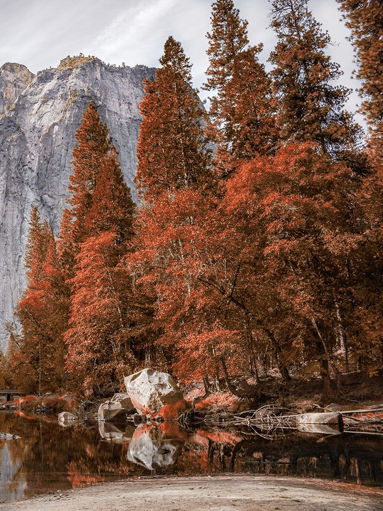 Relaxing Hike 2 art print by Marcus Prime for $57.95 CAD
