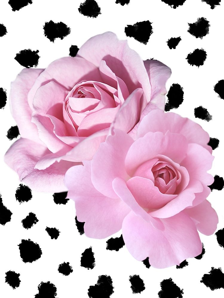 Dalmatian Roses art print by Marcus Prime for $57.95 CAD