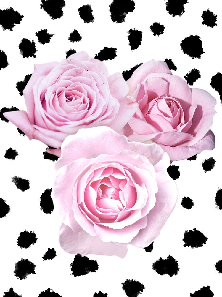 Dalmatian Roses 2 art print by Marcus Prime for $57.95 CAD