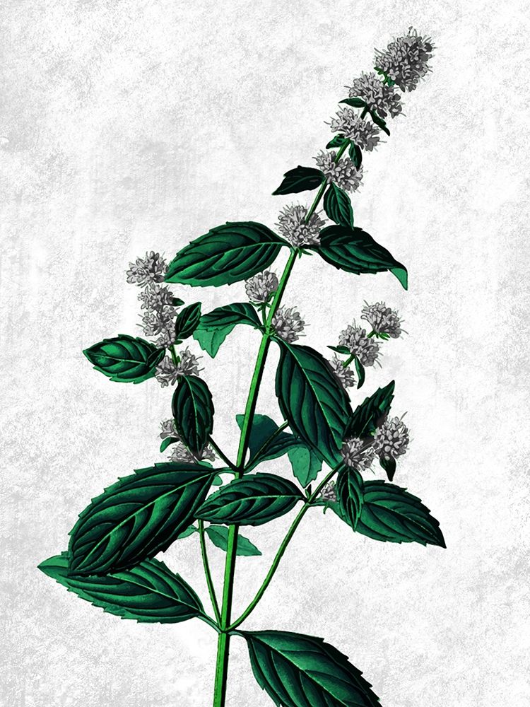 Striking Growth art print by Marcus Prime for $57.95 CAD