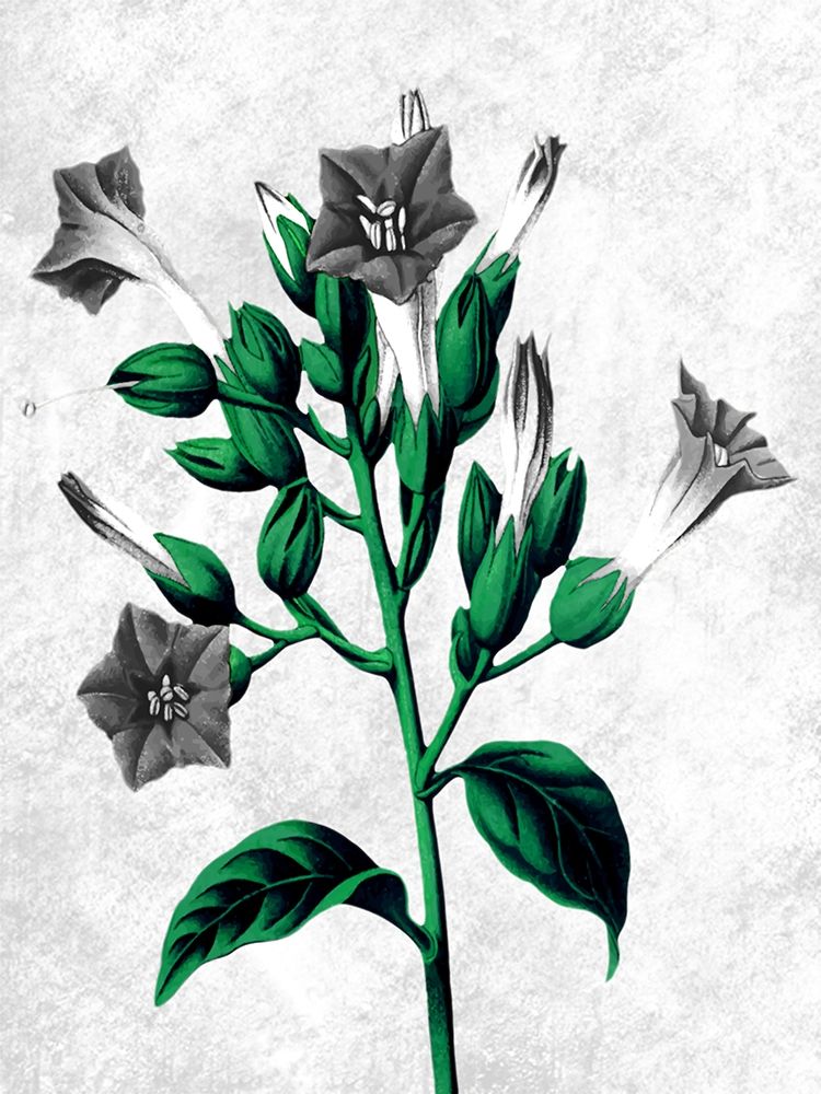 Striking Growth 2 art print by Marcus Prime for $57.95 CAD