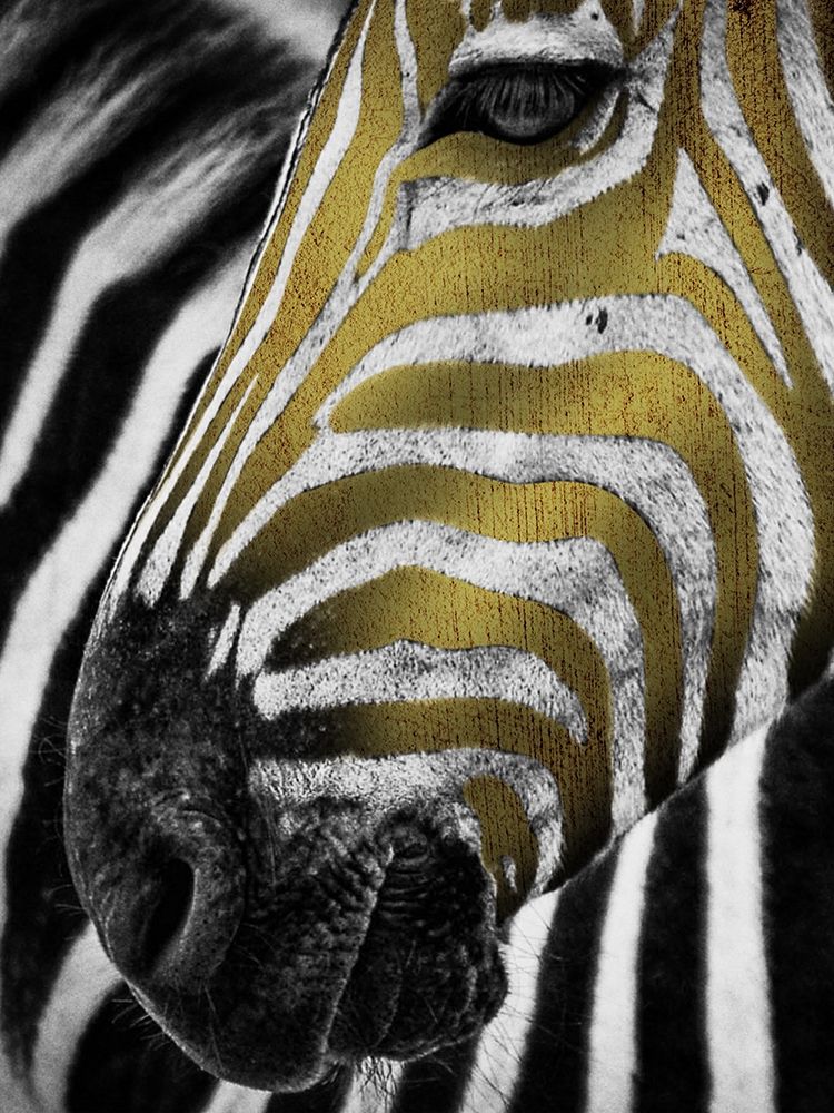 Vibrant Zebra art print by Marcus Prime for $57.95 CAD