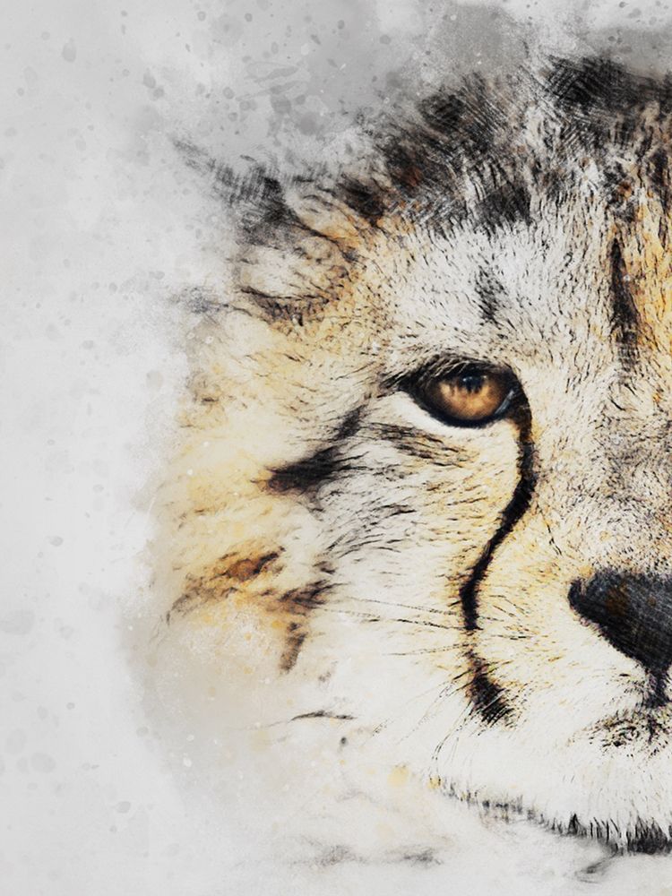 Winters Gaze art print by Marcus Prime for $57.95 CAD