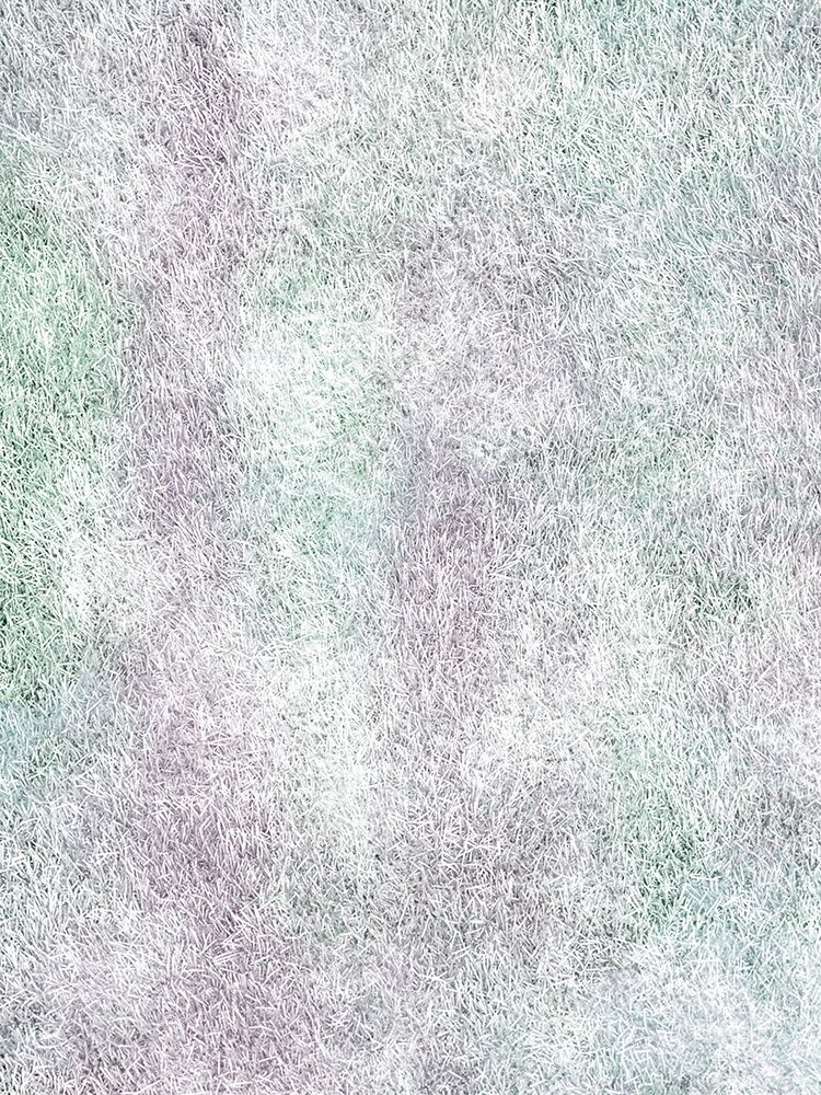 Pretty Lawn art print by Marcus Prime for $57.95 CAD