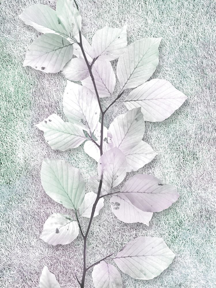 Spring Beauty 1 art print by Marcus Prime for $57.95 CAD