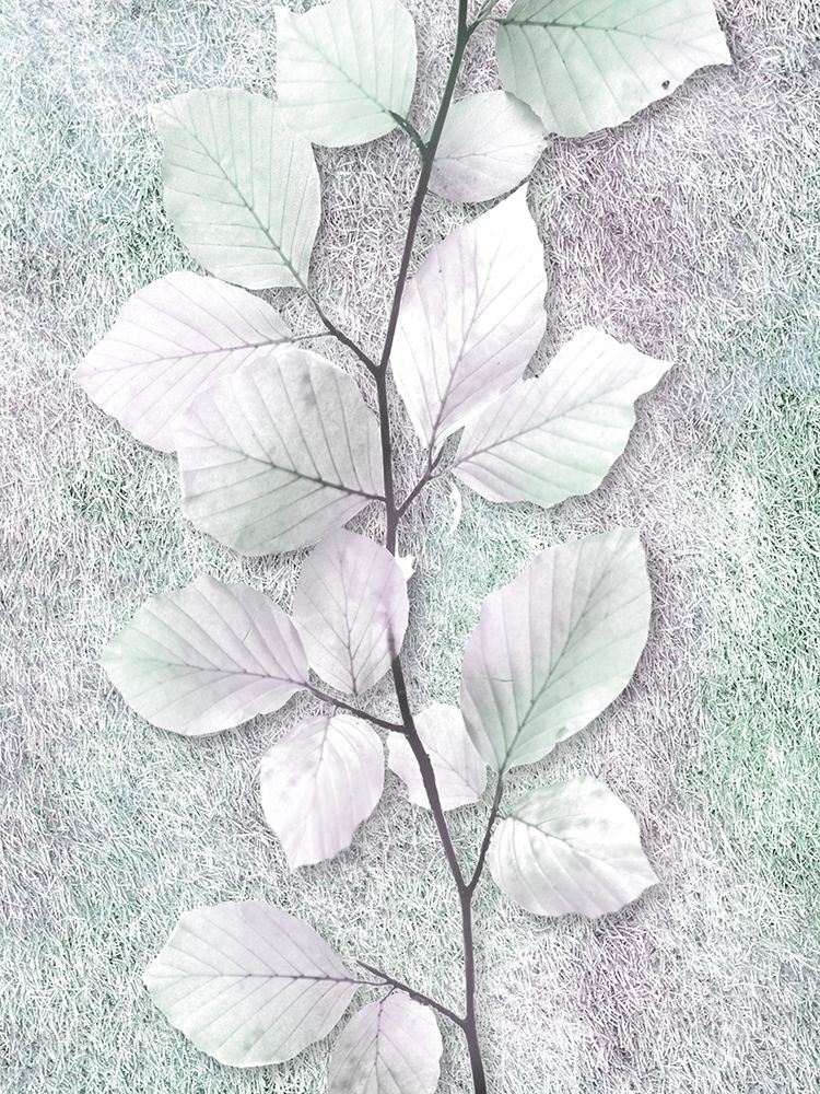 Spring Beauty 2 art print by Marcus Prime for $57.95 CAD
