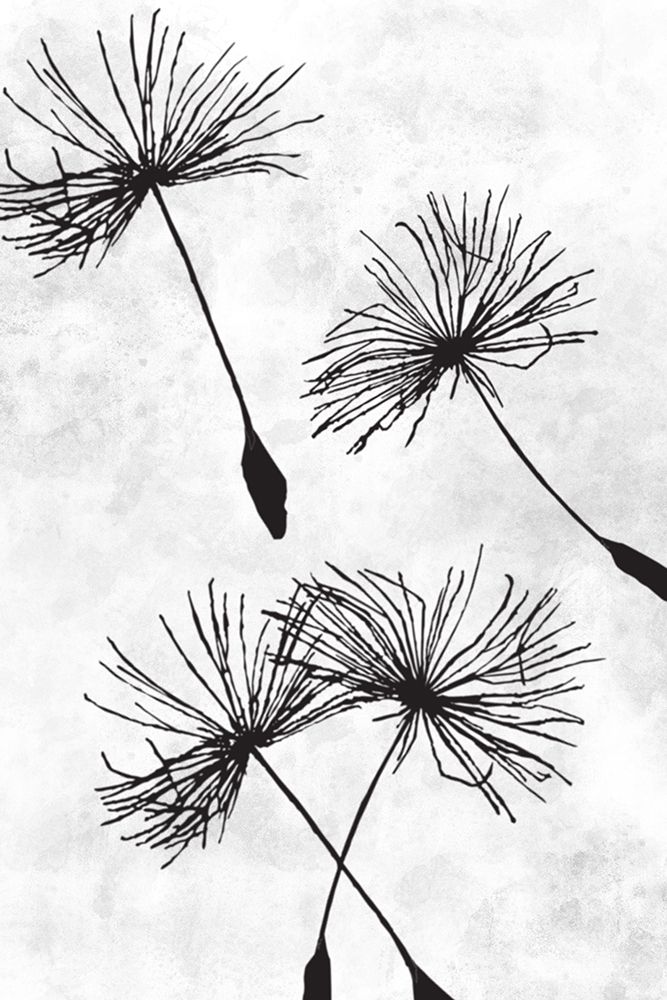 Dandelion Flight 1 art print by Marcus Prime for $57.95 CAD
