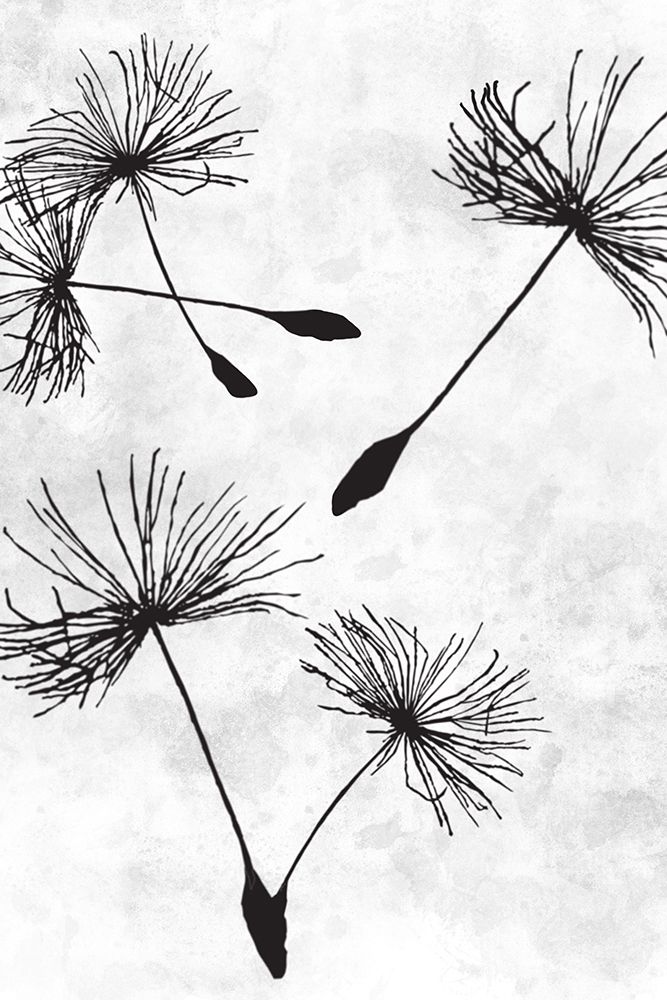 Dandelion Flight 2 art print by Marcus Prime for $57.95 CAD