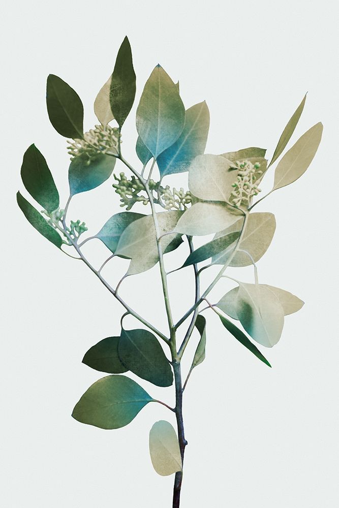 Blonde Eucalyptus 1 art print by Marcus Prime for $57.95 CAD