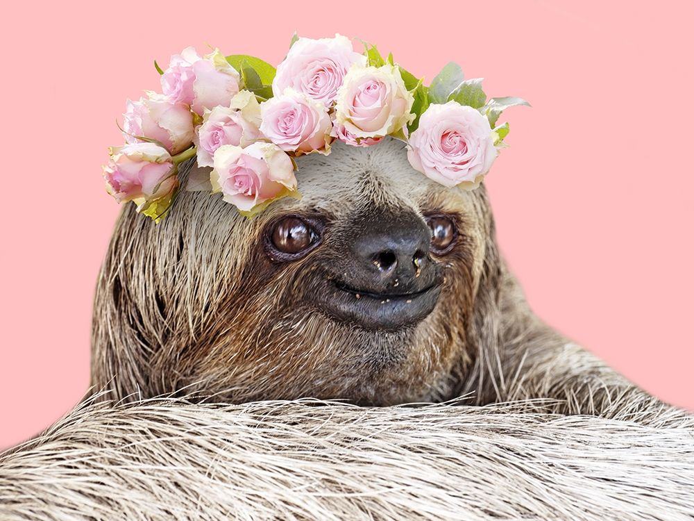 Slow Cutie 1 art print by Marcus Prime for $57.95 CAD