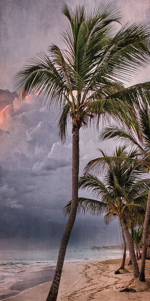 Morning Sea Breeze art print by Marcus Prime for $57.95 CAD