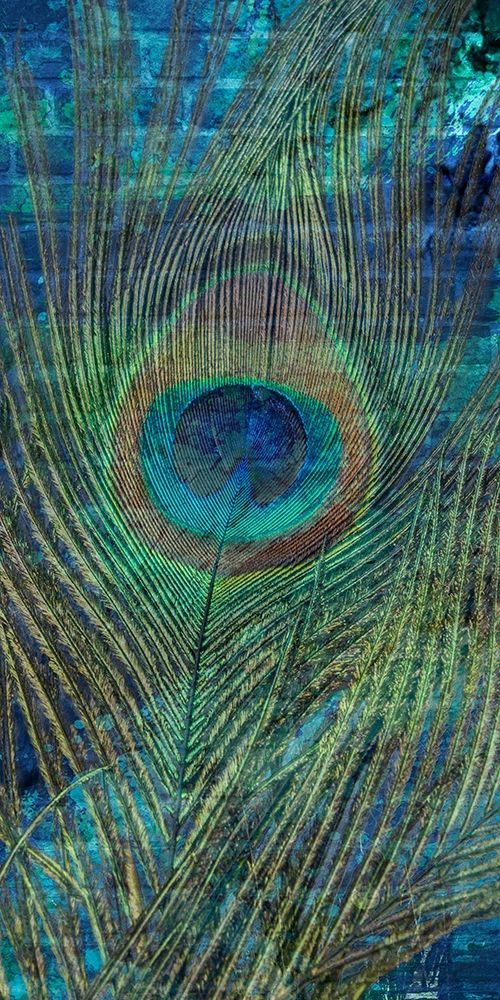 Metropolitan Peacock 1 art print by Marcus Prime for $57.95 CAD