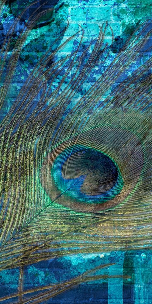 Metropolitan Peacock 2 art print by Marcus Prime for $57.95 CAD