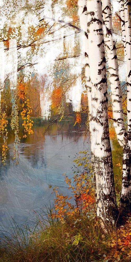 Summer Birch 2 art print by Marcus Prime for $57.95 CAD
