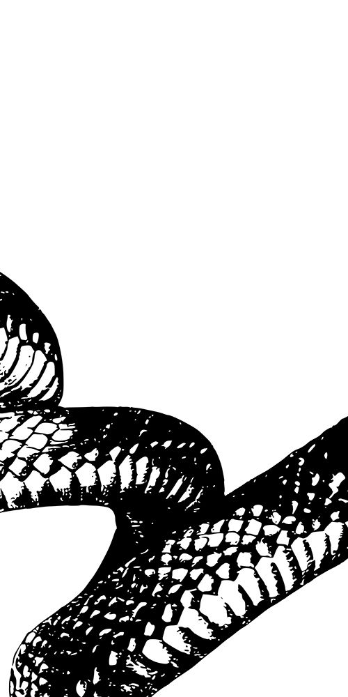 Snake Bite 2 art print by Marcus Prime for $57.95 CAD