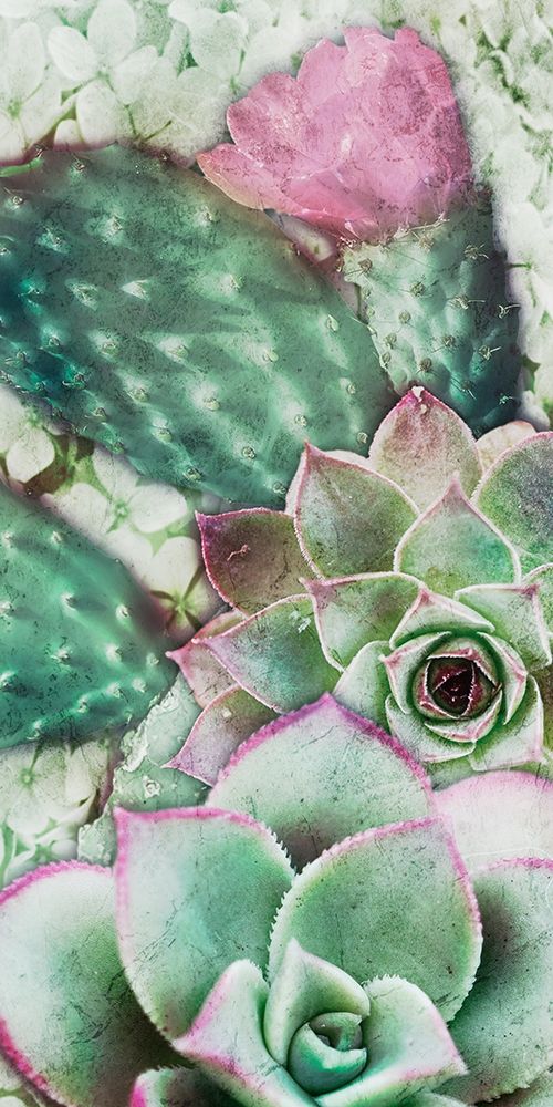Springtime Succulents 3 art print by Marcus Prime for $57.95 CAD