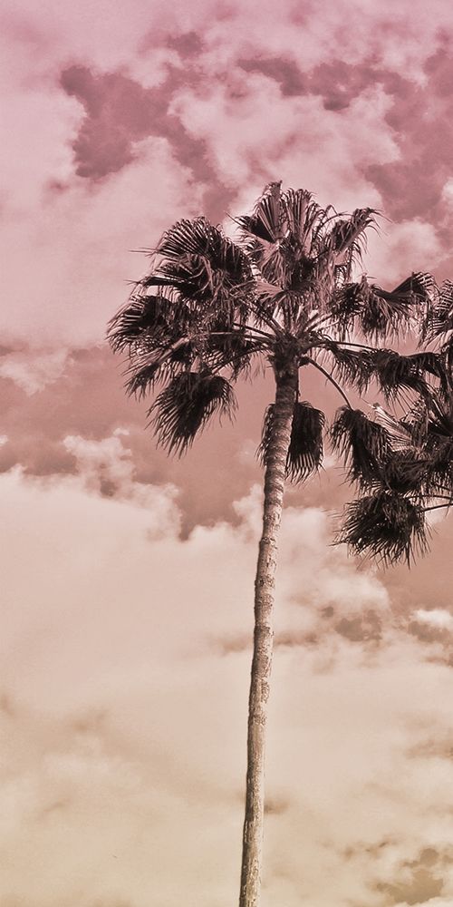 Desired Vacation 1 art print by Marcus Prime for $57.95 CAD