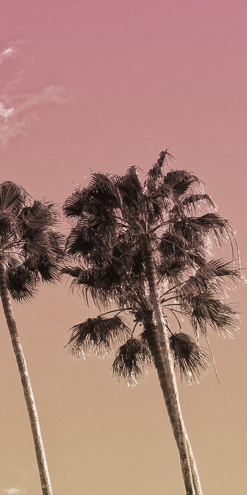 Desired Vacation 4 art print by Marcus Prime for $57.95 CAD