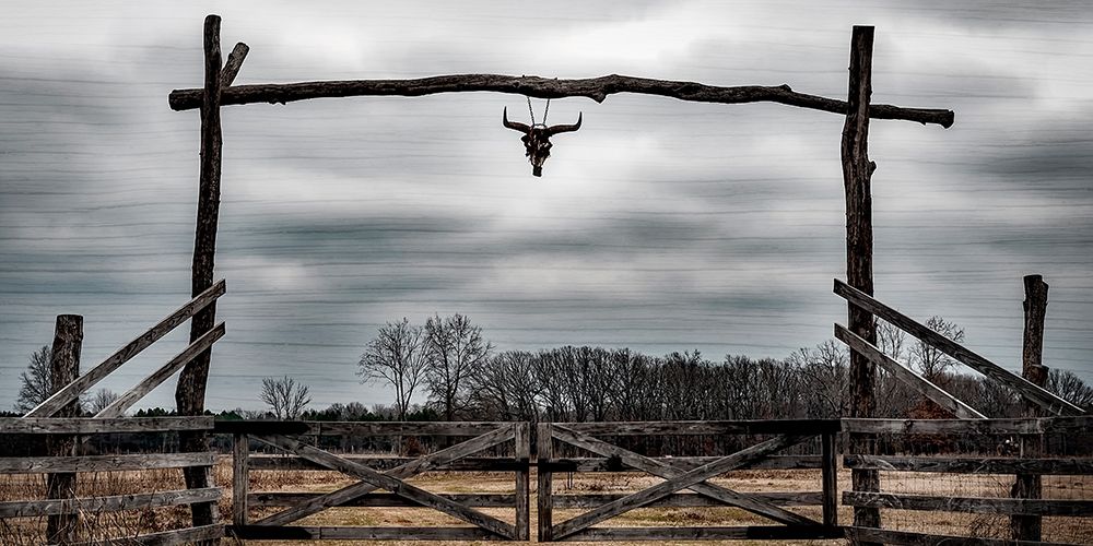 Cattle Ranch art print by Marcus Prime for $57.95 CAD