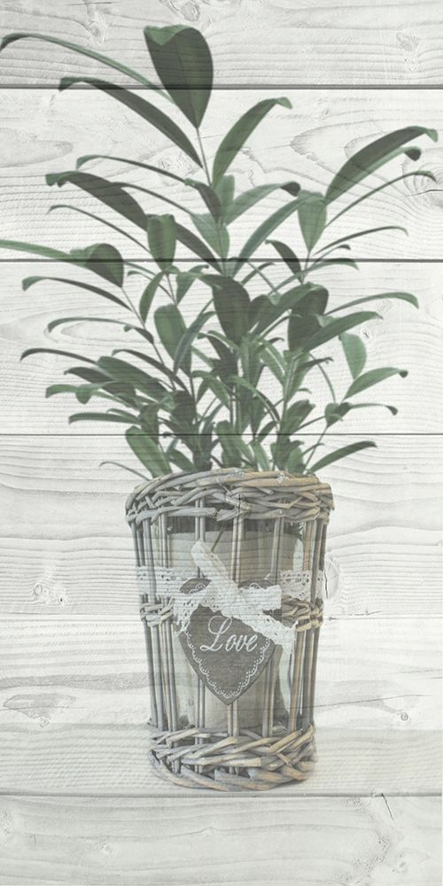 Loving Plant art print by Marcus Prime for $57.95 CAD