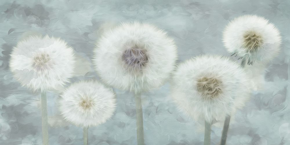 Wishful Thinking 1 art print by Marcus Prime for $57.95 CAD