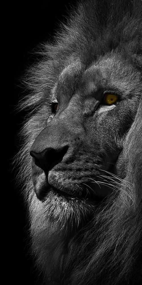 Powerful Resilience 1 art print by Marcus Prime for $57.95 CAD